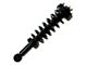 Front Strut and Spring Assemblies with Sway Bar Links (05-08 2WD F-150)