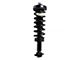 Front Strut and Spring Assembly; Driver Side (15-19 2WD F-150 Super Cab, SuperCrew)