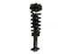 Front Strut and Spring Assembly; Driver Side (2014 4WD F-150)
