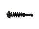 Front Strut and Spring Assembly; Driver Side (2014 2WD F-150)