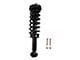 Front Strut and Spring Assembly; Passenger Side (15-17 4WD F-150)
