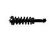 Front Strut and Spring Assembly; Passenger Side (15-17 4WD F-150)