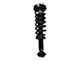 Front Strut and Spring Assembly; Passenger Side (15-19 2WD F-150 SuperCab, SuperCrew)