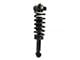 Front Strut and Spring Assembly; Passenger Side (2014 4WD F-150)