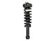 Front Strut and Spring Assembly (09-13 2WD F-150)