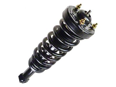 Front Strut and Spring Assembly (09-13 4WD F-150)