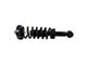 Front Strut and Spring Assembly (04-08 2WD F-150)