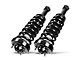 Front Strut Assemblies (09-14 2WD F-150)