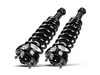 Front Strut Assemblies (04-08 2WD F-150)