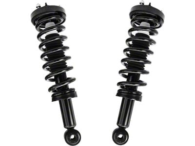 Front Strut and Spring Assemblies (04-08 2WD F-150)