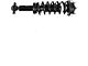 Front Strut and Spring Assemblies (2014 4WD F-150, Excluding Raptor)