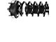 Front Strut and Spring Assemblies (2014 4WD F-150, Excluding Raptor)