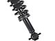 Front Strut and Spring Assemblies (15-17 4WD F-150, Excluding Raptor)