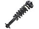 Front Strut and Spring Assemblies (15-17 4WD F-150, Excluding Raptor)