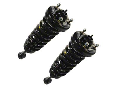 Front Strut and Spring Assemblies (04-08 4WD F-150)