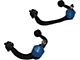 Front Strut and Spring Assemblies with Upper Control Arms, Sway Bar Links and Tie Rods (2005 2WD F-150)