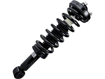 Front Strut and Spring Assembly (09-13 2WD F-150)