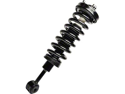 Front Strut and Spring Assembly (04-08 4WD F-150)