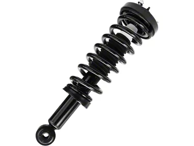 Front Strut and Spring Assembly (04-08 2WD F-150)