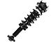 Front Strut and Spring Assembly; Driver Side (2014 4WD F-150, Excluding Raptor)