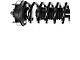 Front Strut and Spring Assembly; Driver Side (2014 4WD F-150, Excluding Raptor)