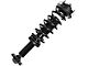 Front Strut and Spring Assembly; Passenger Side (2014 4WD F-150, Excluding Raptor)