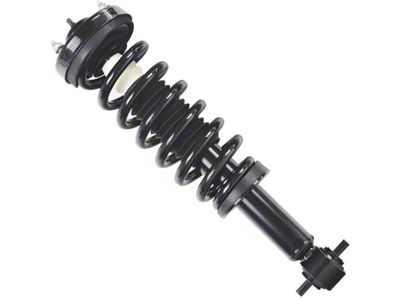 Front Strut and Spring Assembly; Passenger Side (15-17 4WD F-150, Excluding Raptor)