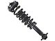 Front Strut and Spring Assembly; Passenger Side (15-17 4WD F-150, Excluding Raptor)