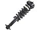 Front Strut and Spring Assembly; Passenger Side (15-17 4WD F-150, Excluding Raptor)