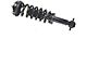 Front Strut and Spring Assembly; Passenger Side (15-17 4WD F-150, Excluding Raptor)