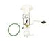 Fuel Pump and Sending Unit Assembly (04-08 4.6L, 5.4L F-150)