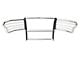 Grille Guard; Chrome (15-20 F-150, Excluding Raptor)