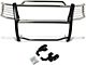 Grille Guard; Chrome (99-03 2WD F-150)