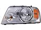 Halogen Headlight; Chrome Housing; Clear Lens; Driver Side (04-08 F-150)