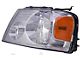 Halogen Headlight; Chrome Housing; Clear Lens; Driver Side (04-08 F-150)