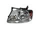 Headlight; Chrome Housing; Clear Lens; Driver Side (04-08 F-150)