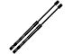 Hood Lift Support Struts (10-14 F-150 Raptor)