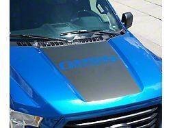 Hood Stripe with F-150 EcoBoost Logo; Gloss Black (15-20 F-150, Excluding Raptor)