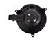 HVAC Blower Motor Assembly (09-14 F-150)