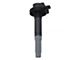 Ignition Coil (Late 16-17 5.0L F-150)