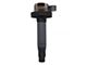 Ignition Coil (11-16 3.5L EcoBoost F-150)