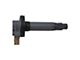 Ignition Coil (11-16 3.5L EcoBoost F-150)