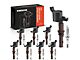 Ignition Coil Set with Iridium Spark Plugs; Black (Late 08-10 5.4L F-150; 09-10 4.6L F-150)