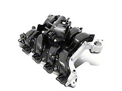 Intake Manifold; Black (09-10 4.6L F-150)