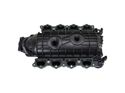 Intake Manifold (15-17 5.0L F-150)