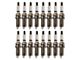 Iridium Spark Plugs; 16-Piece (10-14 6.2L F-150)