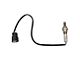 O2 Oxygen Sensor; Downstream (11-17 F-150, Excluding 6.2L)