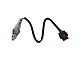 O2 Oxygen Sensor Set; Downstream (15-17 3.5L V6 F-150)