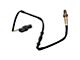 O2 Oxygen Sensor Set; Upstream (09-16 3.5L EcoBoost, 4.6L, 5.0L, 5.4L, 6.2L F-150)