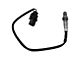 O2 Oxygen Sensor Set; Upstream (09-16 3.5L EcoBoost, 4.6L, 5.0L, 5.4L, 6.2L F-150)